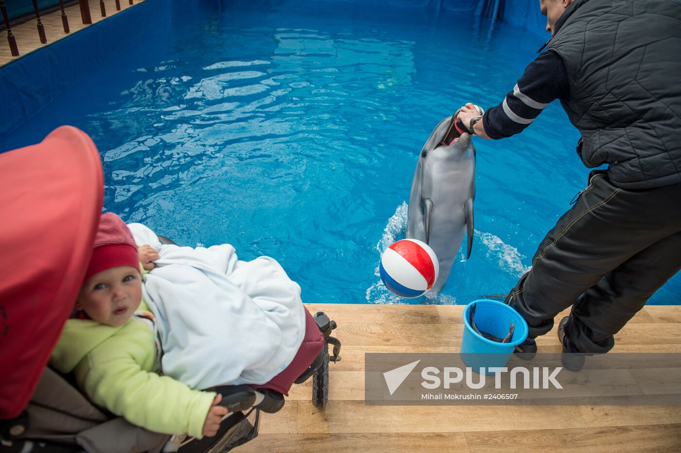 Dolphinarium in Sevastopol