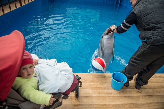 Dolphinarium in Sevastopol