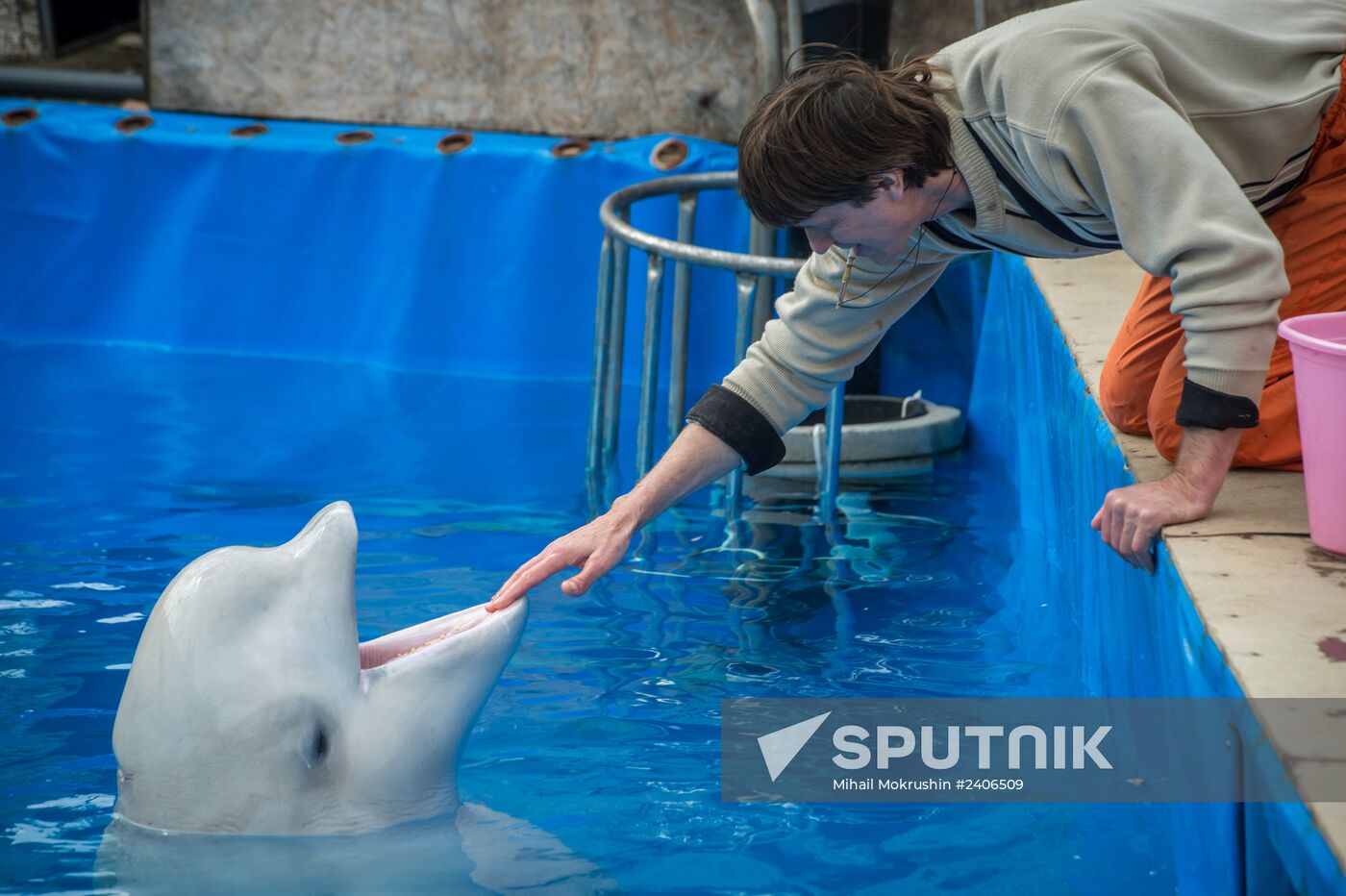 Dolphinarium in Sevastopol