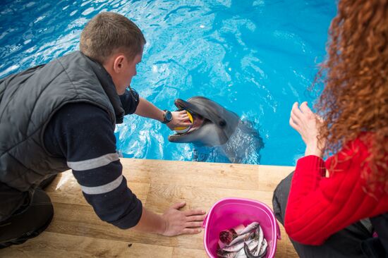 Dolphinarium in Sevastopol
