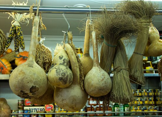 World cities. Valencia