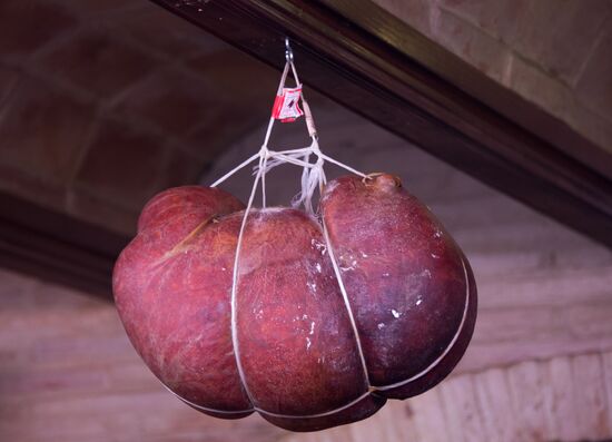 World cities. Valencia