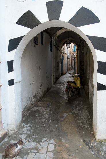 World cities. La Goulette