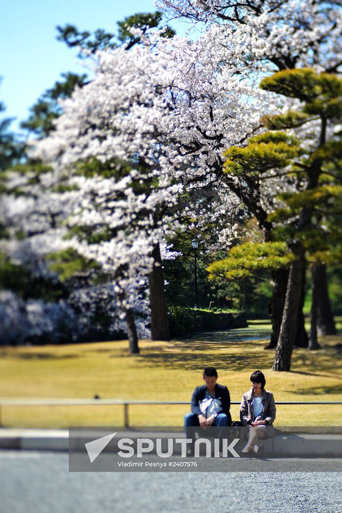 World cities. Tokyo