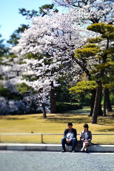 World cities. Tokyo