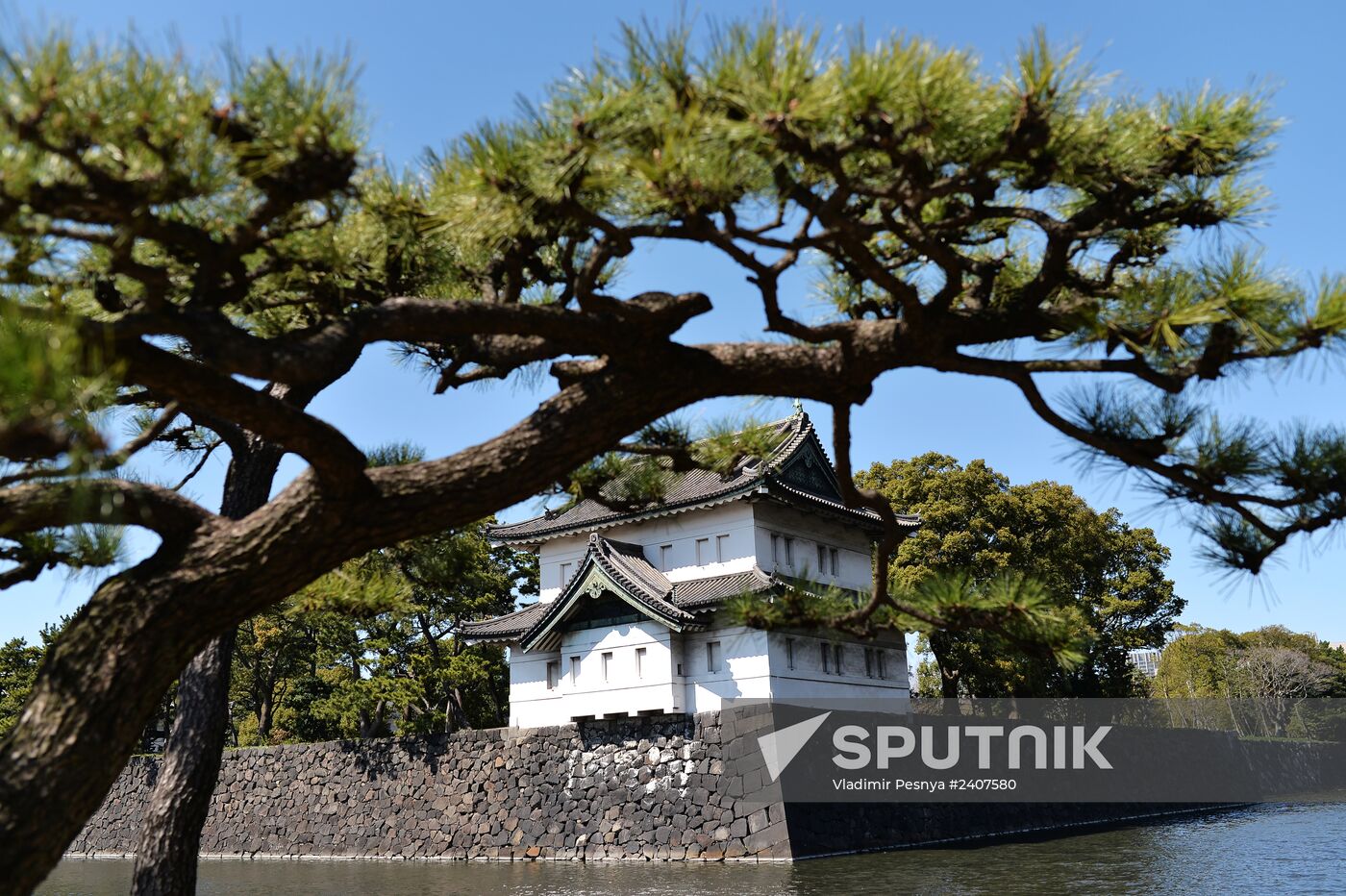 World cities. Tokyo