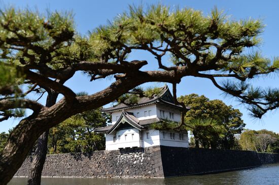 World cities. Tokyo