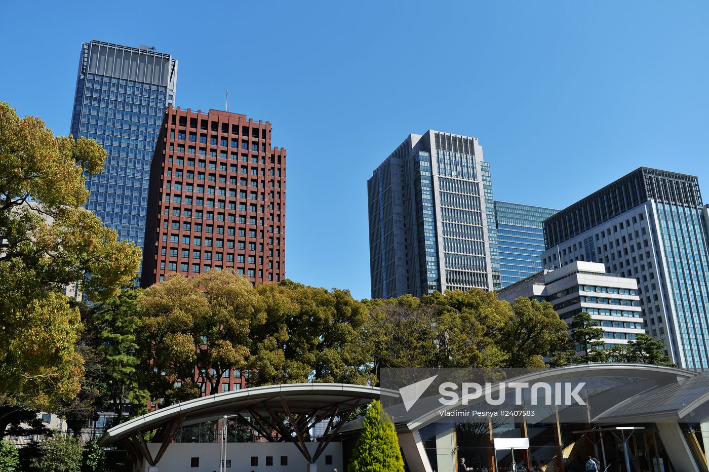 World cities. Tokyo