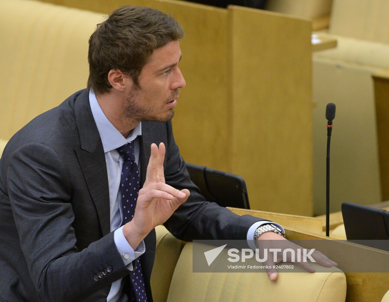 State Duma plenary meeting