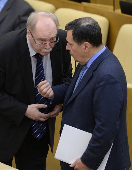 State Duma plenary meeting