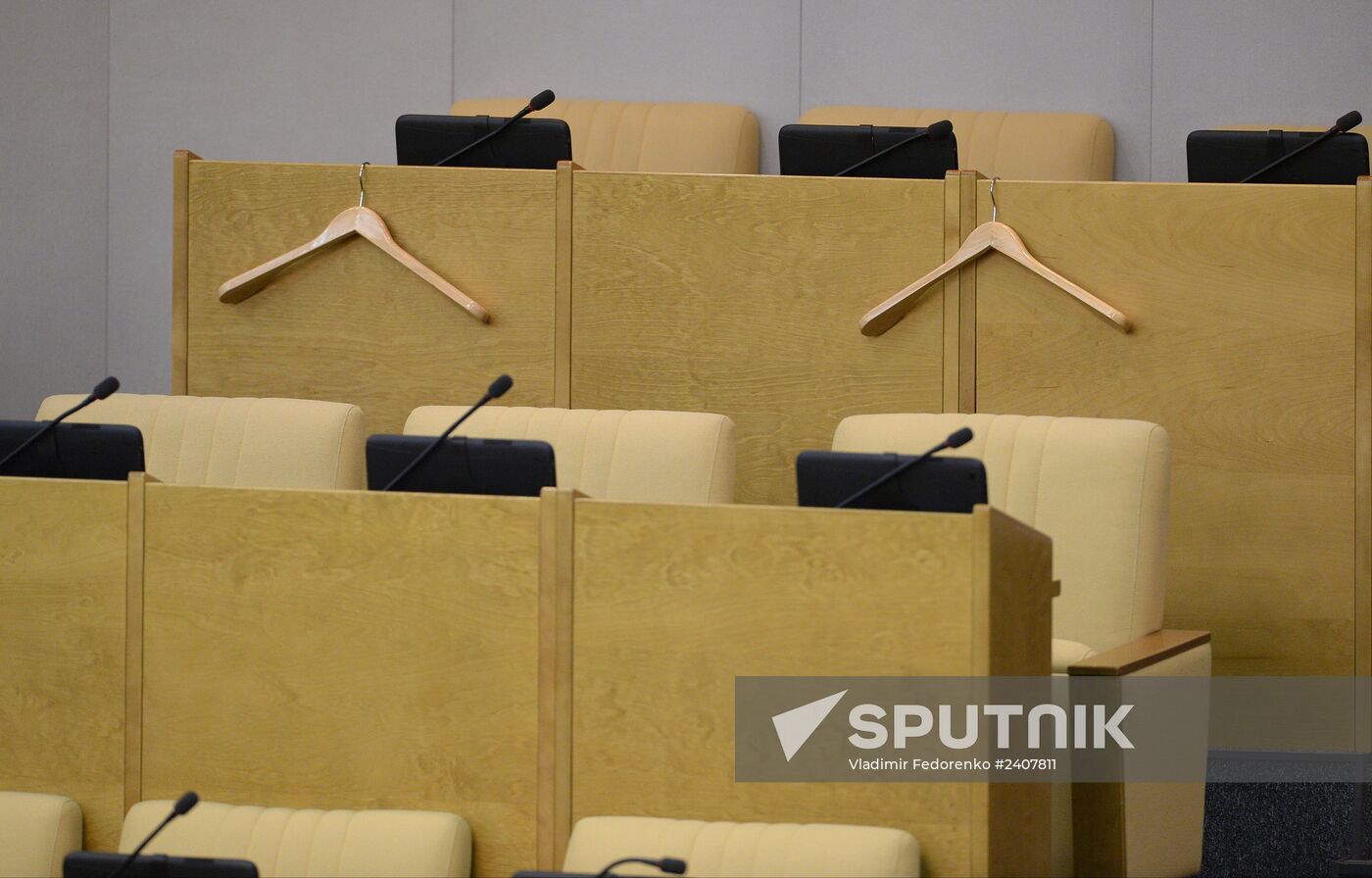 State Duma plenary meeting