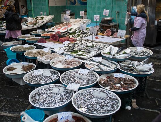 World Countries: Italy