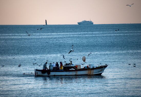 World Countries: Italy