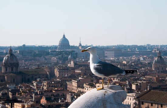 World Countries: Italy