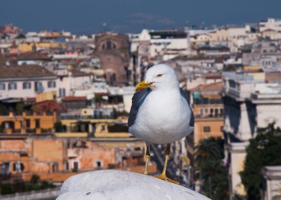 World Countries: Italy