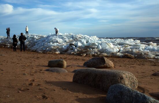 Shore of the Gulf of Finland in the resort area of St. Petersburg