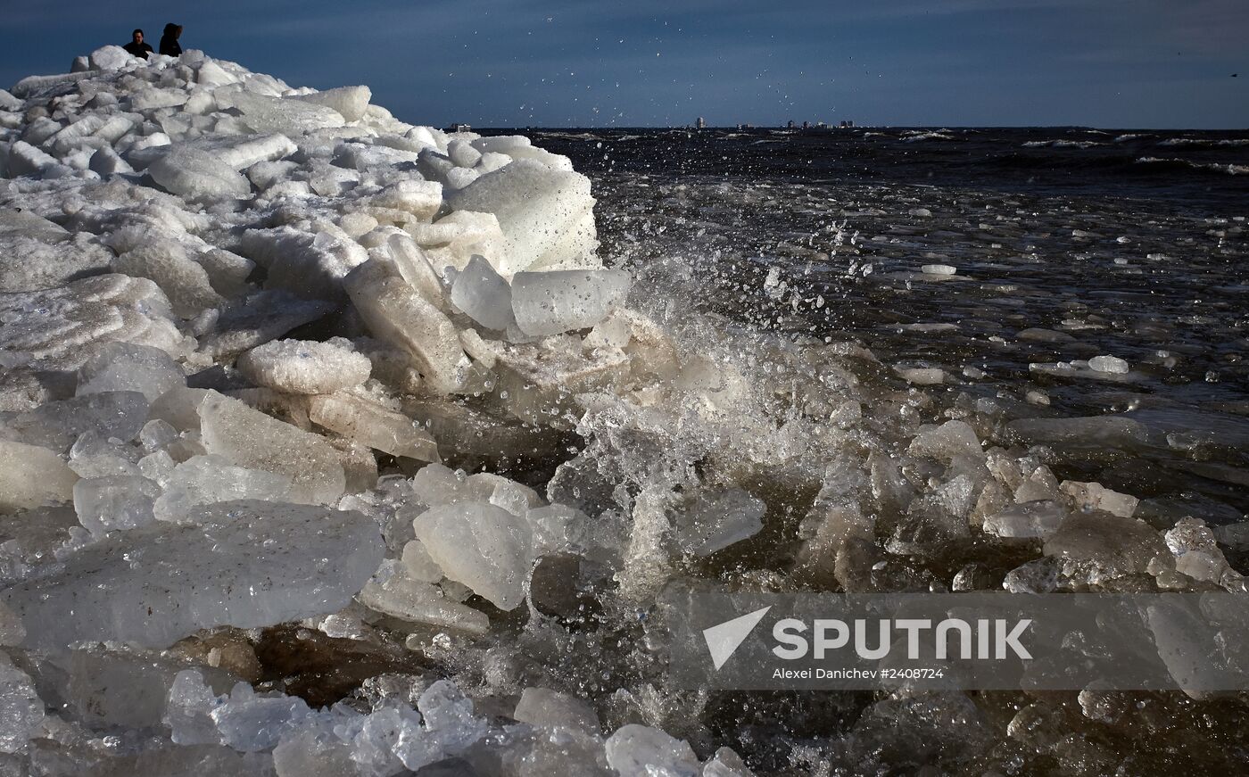 Shore of the Gulf of Finland in the resort area of St. Petersburg