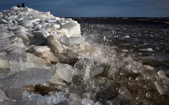 Shore of the Gulf of Finland in the resort area of St. Petersburg
