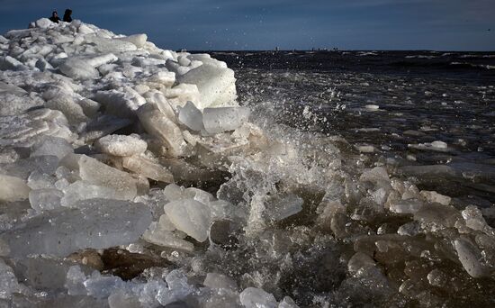 Shore of the Gulf of Finland in the resort area of St. Petersburg