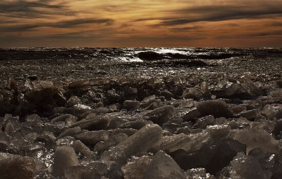 Shore of the Gulf of Finland in the resort area of St. Petersburg