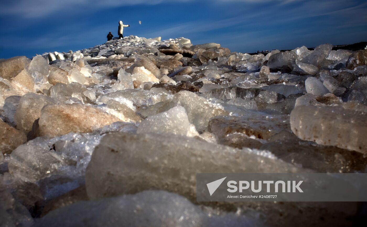 Shore of the Gulf of Finland in the resort area of St. Petersburg