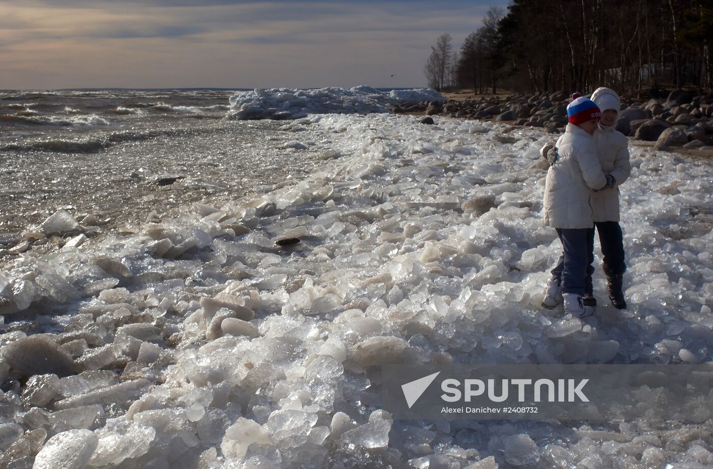 Shore of the Gulf of Finland in the resort area of St. Petersburg