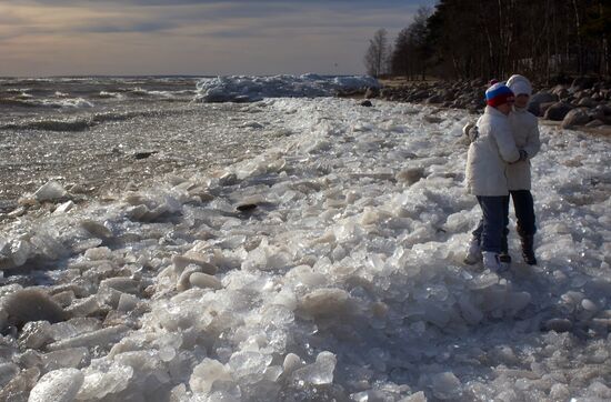 Shore of the Gulf of Finland in the resort area of St. Petersburg
