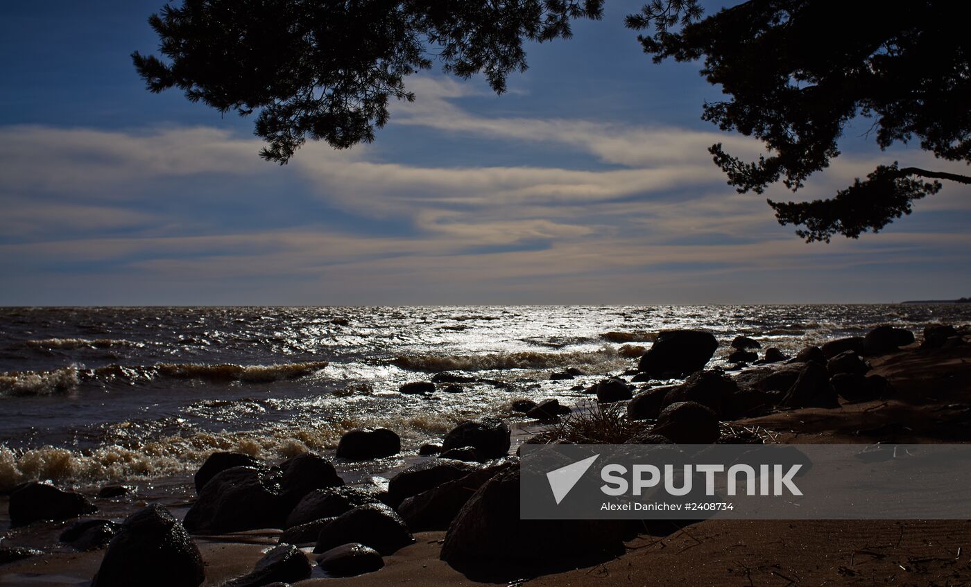 Shore of the Gulf of Finland in the resort area of St. Petersburg
