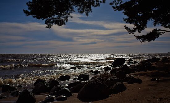 Shore of the Gulf of Finland in the resort area of St. Petersburg