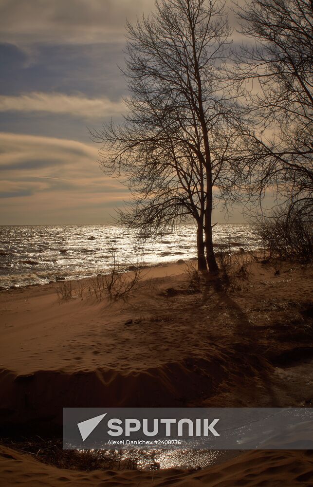 Shore of the Gulf of Finland in the resort area of St. Petersburg