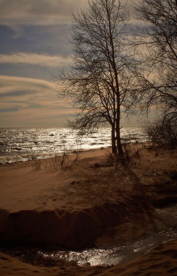 Shore of the Gulf of Finland in the resort area of St. Petersburg