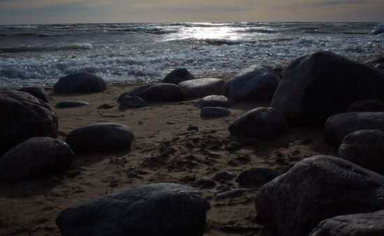 Shore of the Gulf of Finland in the resort area of St. Petersburg