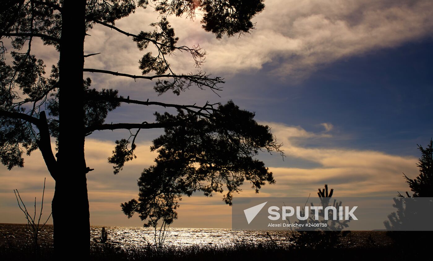 Shore of the Gulf of Finland in the resort area of St. Petersburg