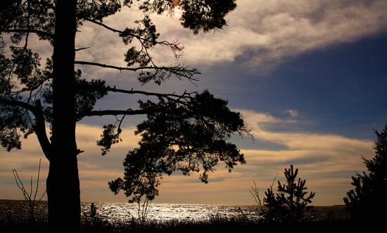 Shore of the Gulf of Finland in the resort area of St. Petersburg