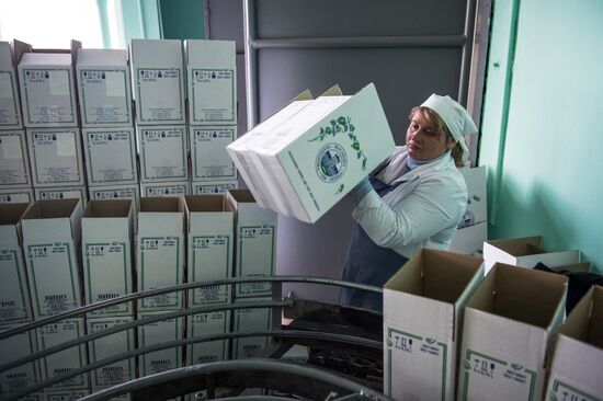 The Massandra wine-making factory in the Crimea