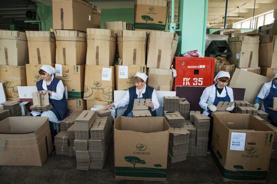The Massandra wine-making factory in the Crimea