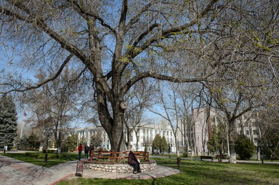 Cities of Russia. Kerch.