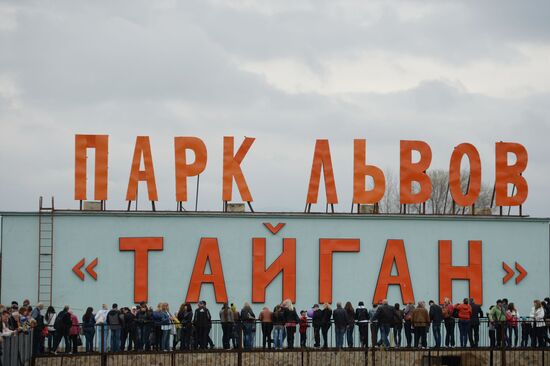 Taygan Lions Park in Crimea