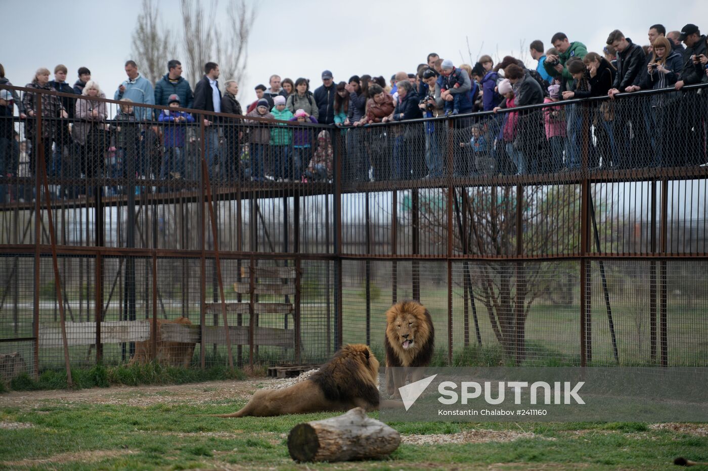 Taygan Lions Park in Crimea