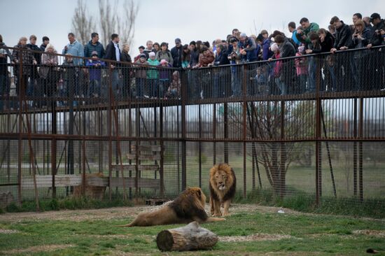 Taygan Lions Park in Crimea