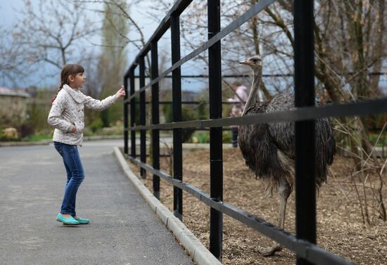 Taygan Lions Park in Crimea