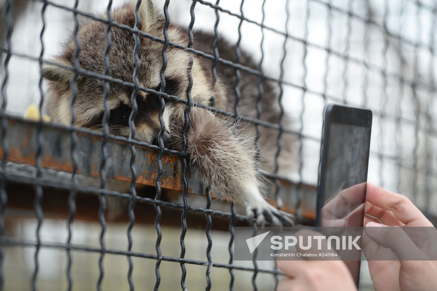 Taygan Lions Park in Crimea