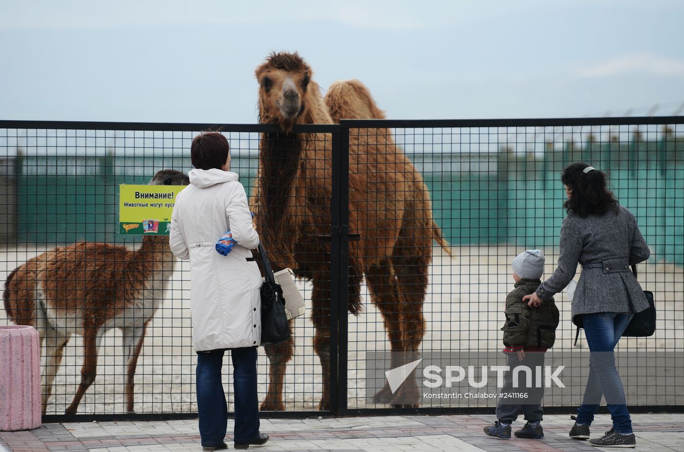 Taygan Lions Park in Crimea