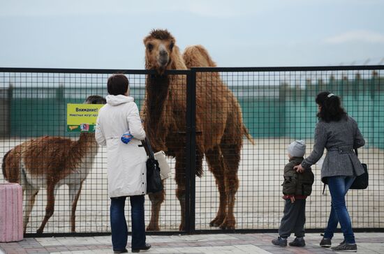 Taygan Lions Park in Crimea