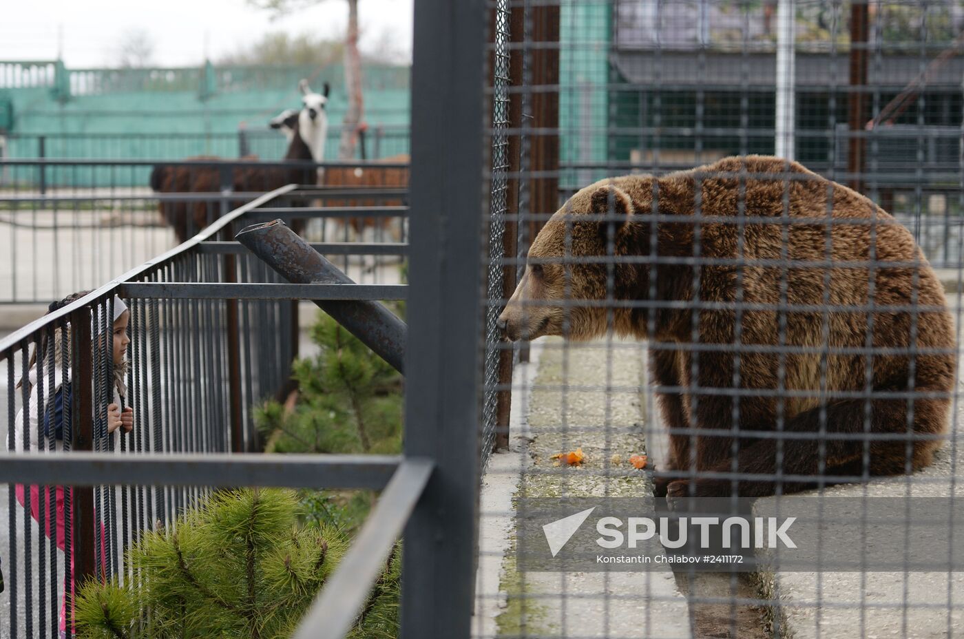 Taygan Lions Park in Crimea
