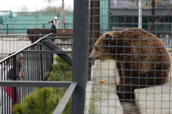 Taygan Lions Park in Crimea