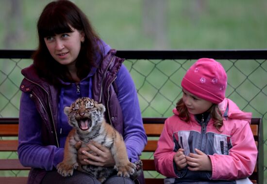 Taygan Lions Park in Crimea