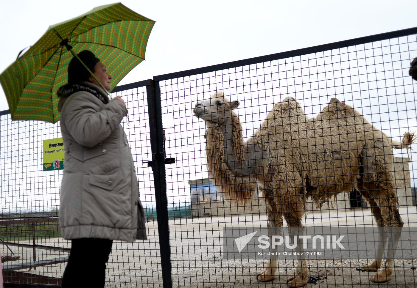Taygan Lions Park in Crimea