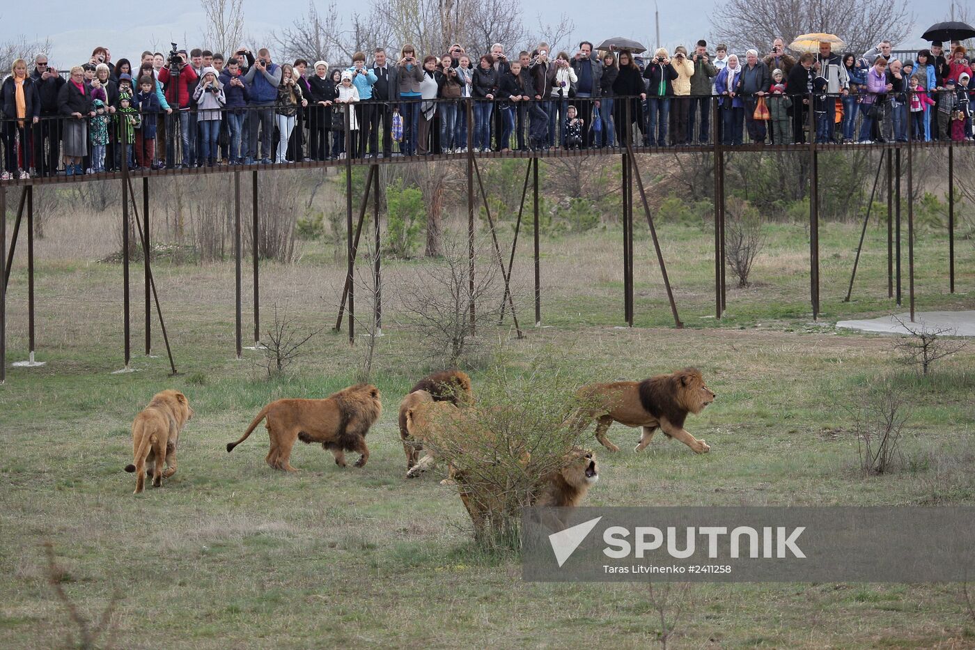 Taygan Lions Park in Crimea