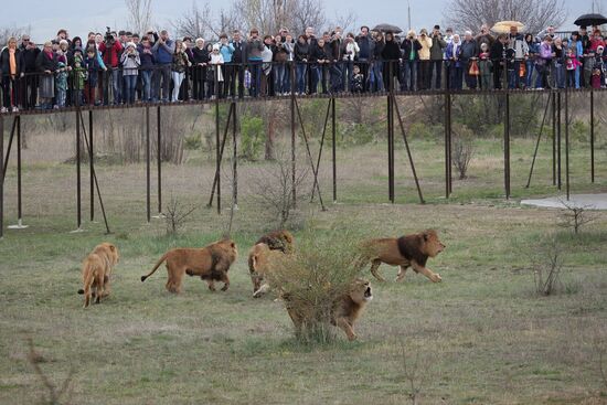 Taygan Lions Park in Crimea